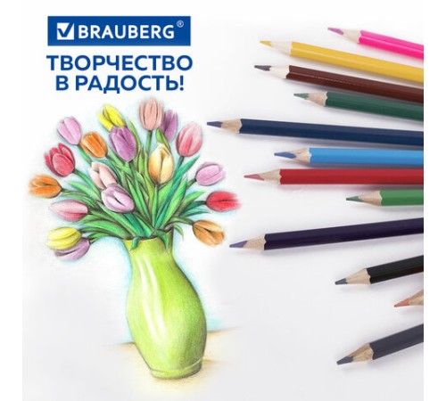 Карандаши цветные стираемые с ластиком BRAUBERG ERASABLE, 12 цветов, шестигранные, грифель 3 мм, натуральное дерево, 181932 Карандаши цветные стираемые с ластиком BRAUBERG ERASABLE, 12 цветов, шестигранные, грифель 3 мм, натуральное дерево, 181932