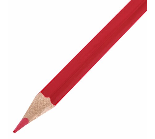 Карандаши цветные стираемые с ластиком BRAUBERG ERASABLE, 12 цветов, шестигранные, грифель 3 мм, натуральное дерево, 181932 Карандаши цветные стираемые с ластиком BRAUBERG ERASABLE, 12 цветов, шестигранные, грифель 3 мм, натуральное дерево, 181932