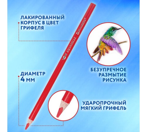 Карандаши цветные акварельные BRAUBERG PREMIUM AQUARELLE 36 цветов в тубе, трехгранные, утолщенный грифель 4 мм, натуральное дерево,181933