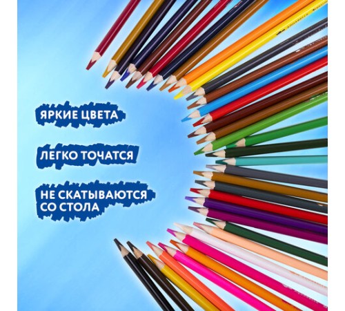 Карандаши цветные акварельные BRAUBERG PREMIUM AQUARELLE 36 цветов в тубе, трехгранные, утолщенный грифель 4 мм, натуральное дерево,181933