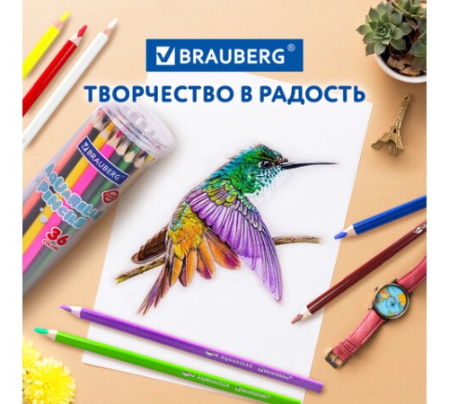 Карандаши цветные акварельные BRAUBERG PREMIUM AQUARELLE 36 цветов в тубе, трехгранные, утолщенный грифель 4 мм, натуральное дерево,181933