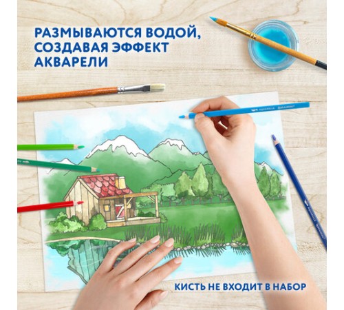 Карандаши цветные акварельные BRAUBERG PREMIUM AQUARELLE 36 цветов в тубе, трехгранные, утолщенный грифель 4 мм, натуральное дерево,181933