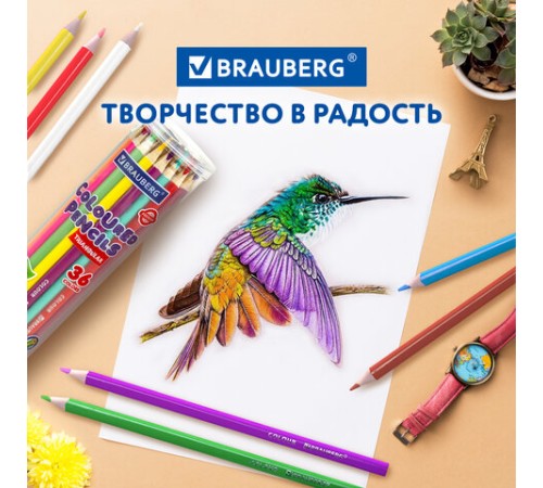 Карандаши цветные BRAUBERG PREMIUM 36 цветов в тубе, трехгранные, грифель 3,3 мм, натуральное дерево, 181934 Карандаши цветные BRAUBERG PREMIUM 36 цветов в тубе, трехгранные, грифель 3,3 мм, натуральное дерево, 181934