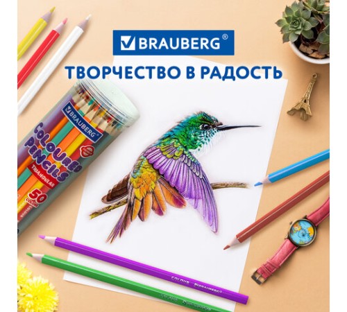 Карандаши цветные BRAUBERG PREMIUM 50 цветов в тубе, трехгранные, грифель 3,3 мм, натуральное дерево, 181935 Карандаши цветные BRAUBERG PREMIUM 50 цветов в тубе, трехгранные, грифель 3,3 мм, натуральное дерево, 181935