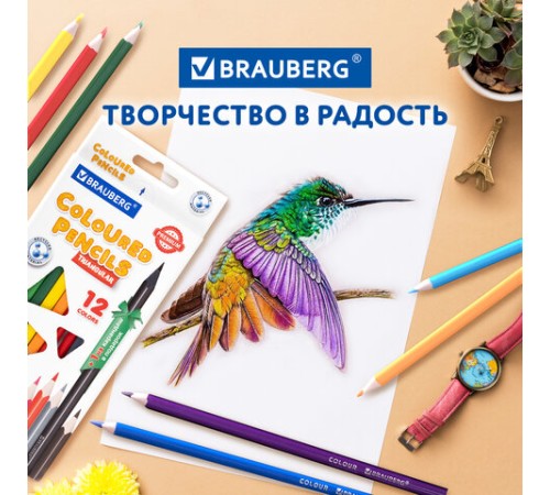 Карандаши цветные BRAUBERG PREMIUM 12 цветов + 1 чернографитный карандаш, трехгранные, грифель 3 мм, 181936