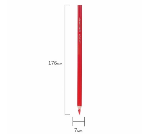 Карандаши цветные BRAUBERG PREMIUM 12 цветов + 1 чернографитный карандаш, трехгранные, грифель 3 мм, 181936