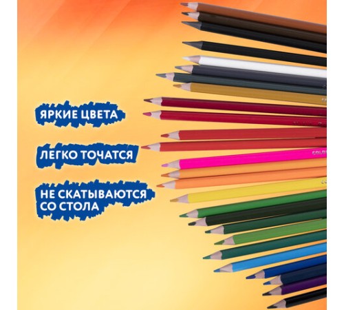 Карандаши цветные BRAUBERG PREMIUM 24 цвета + 2 чернографитных карандаша, трехгранные, грифель 3 мм, 181937 Карандаши цветные BRAUBERG PREMIUM 24 цвета + 2 чернографитных карандаша, трехгранные, грифель 3 мм, 181937