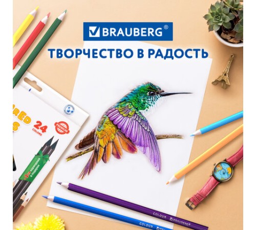 Карандаши цветные BRAUBERG PREMIUM 24 цвета + 2 чернографитных карандаша, трехгранные, грифель 3 мм, 181937 Карандаши цветные BRAUBERG PREMIUM 24 цвета + 2 чернографитных карандаша, трехгранные, грифель 3 мм, 181937