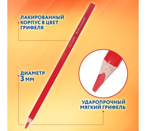 Карандаши цветные BRAUBERG PREMIUM 24 цвета + 2 чернографитных карандаша, трехгранные, грифель 3 мм, 181937 Карандаши цветные BRAUBERG PREMIUM 24 цвета + 2 чернографитных карандаша, трехгранные, грифель 3 мм, 181937