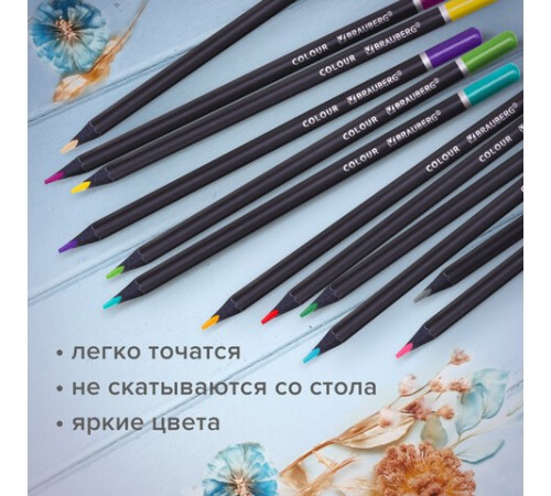 Карандаши цветные чёрное дерево BRAUBERG BLACK WOOD, 12 цветов, трехгранные, мягкий грифель 3 мм, 181948 Карандаши цветные чёрное дерево BRAUBERG BLACK WOOD, 12 цветов, трехгранные, мягкий грифель 3 мм, 181948