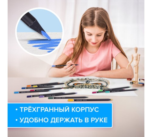 Карандаши цветные чёрное дерево BRAUBERG BLACK WOOD, 12 цветов, трехгранные, мягкий грифель 3 мм, 181948 Карандаши цветные чёрное дерево BRAUBERG BLACK WOOD, 12 цветов, трехгранные, мягкий грифель 3 мм, 181948