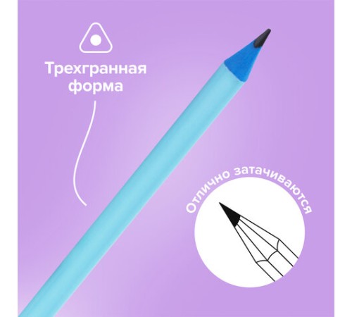 Набор карандашей чернографитных с ластиком BRAUBERG "PASTEL" 12 шт., HB, 181997 Набор карандашей чернографитных с ластиком BRAUBERG "PASTEL" 12 шт., HB, 181997