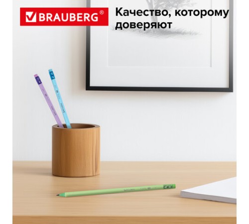 Набор карандашей чернографитных с ластиком BRAUBERG "PASTEL" 12 шт., HB, 181997 Набор карандашей чернографитных с ластиком BRAUBERG "PASTEL" 12 шт., HB, 181997