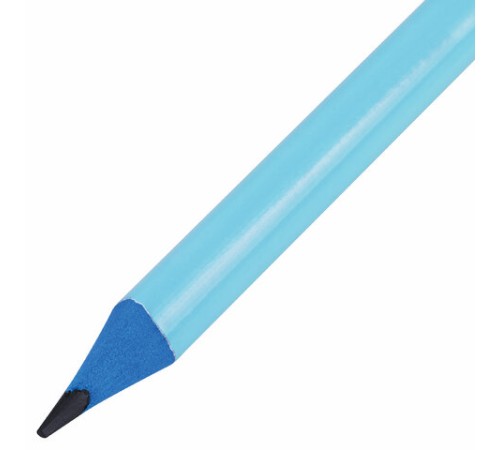 Набор карандашей чернографитных с ластиком BRAUBERG "PASTEL" 12 шт., HB, 181997 Набор карандашей чернографитных с ластиком BRAUBERG "PASTEL" 12 шт., HB, 181997