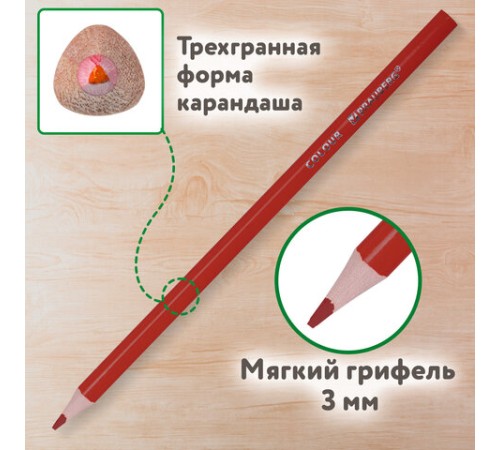 Карандаши цветные BRAUBERG KIDS NEW, 50 цветов, трехгранные, грифель 3 мм, 182004 Карандаши цветные BRAUBERG KIDS NEW, 50 цветов, трехгранные, грифель 3 мм, 182004