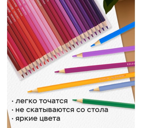 Карандаши цветные супермягкие яркие классические BRAUBERG MAX 120 цветов, шестигранные, натуральное дерево, грифель 3,3 мм, 182006 Карандаши цветные супермягкие яркие классические BRAUBERG MAX 120 цветов, шестигранные, натуральное дерево, грифель 3,3 мм, 182006