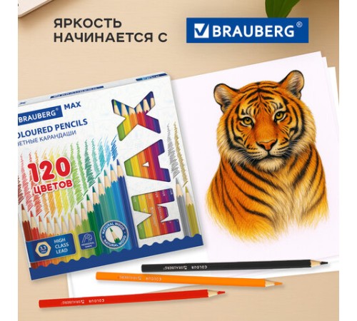 Карандаши цветные супермягкие яркие классические BRAUBERG MAX 120 цветов, шестигранные, натуральное дерево, грифель 3,3 мм, 182006 Карандаши цветные супермягкие яркие классические BRAUBERG MAX 120 цветов, шестигранные, натуральное дерево, грифель 3,3 мм, 182006