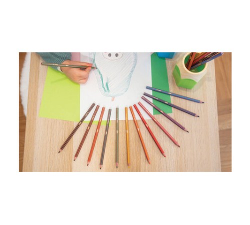 Карандаши цветные BIC "Evolution Stripes", 12 цветов, шестигранные, грифель 9505221 Карандаши цветные BIC "Evolution Stripes", 12 цветов, шестигранные, грифель 9505221