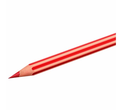 Карандаши цветные BIC "Evolution Stripes", 12 цветов, шестигранные, грифель 9505221 Карандаши цветные BIC "Evolution Stripes", 12 цветов, шестигранные, грифель 9505221