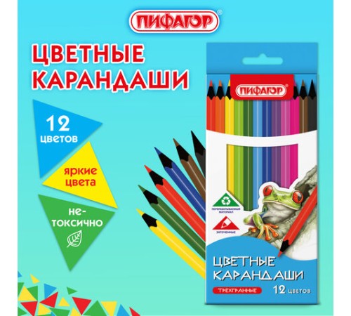 Карандаши цветные ПИФАГОР СТАНДАРТ 12 цветов, трехгранный корпус, 182087 Карандаши цветные ПИФАГОР СТАНДАРТ 12 цветов, трехгранный корпус, 182087