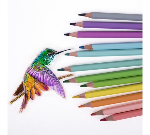 Карандаши цветные пастельные CARIOCA 