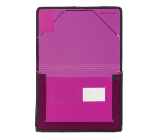 Папка на резинках BRAUBERG, широкая, А4, 330х240 мм, ассорти, до 500 листов, 0,6 мм, 221368