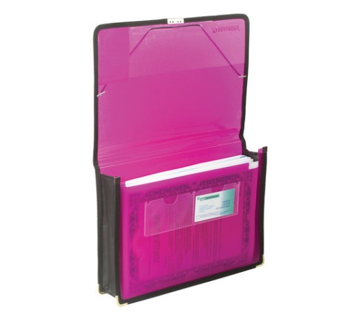 Папка на резинках BRAUBERG, широкая, А4, 330х240 мм, ассорти, до 500 листов, 0,6 мм, 221368