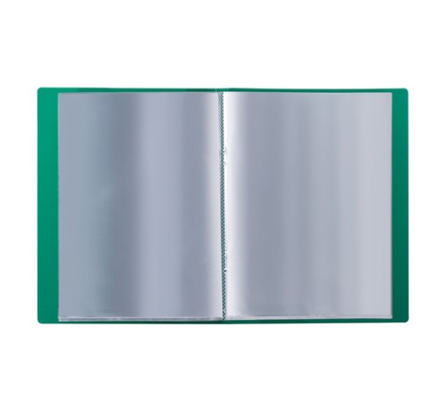 Папка 20 вкладышей BRAUBERG стандарт, зеленая, 0,6 мм, 221593