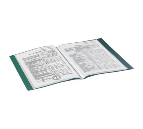 Папка 20 вкладышей BRAUBERG стандарт, зеленая, 0,6 мм, 221593