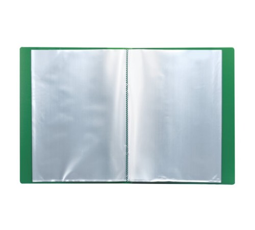 Папка 30 вкладышей BRAUBERG стандарт, зеленая, 0,6 мм, 221597