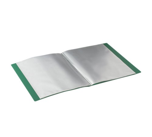 Папка 30 вкладышей BRAUBERG стандарт, зеленая, 0,6 мм, 221597