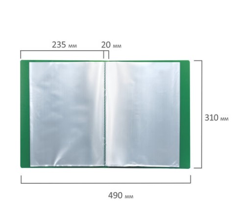Папка 30 вкладышей BRAUBERG стандарт, зеленая, 0,6 мм, 221597
