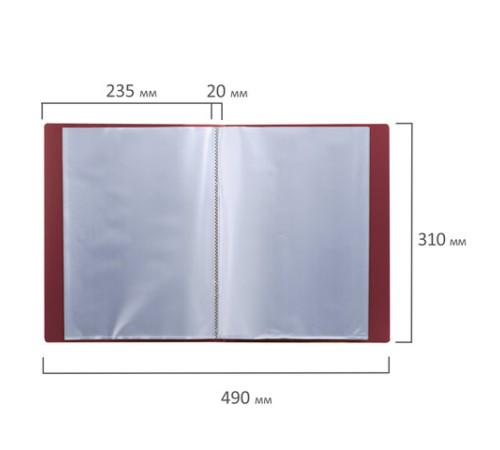 Папка 30 вкладышей BRAUBERG стандарт, красная, 0,6 мм, 221598