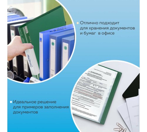 Папка 40 вкладышей BRAUBERG стандарт, зеленая, 0,7 мм, 221601