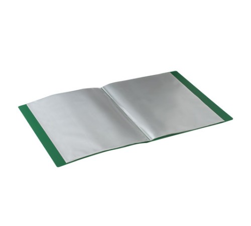 Папка 40 вкладышей BRAUBERG стандарт, зеленая, 0,7 мм, 221601