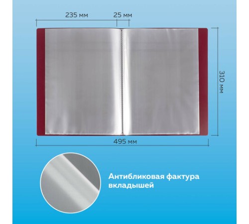 Папка 40 вкладышей BRAUBERG стандарт, красная, 0,7 мм, 221602