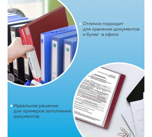 Папка 40 вкладышей BRAUBERG стандарт, красная, 0,7 мм, 221602