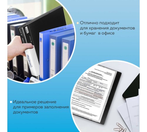 Папка 40 вкладышей BRAUBERG стандарт, черная, 0,7 мм, 221604