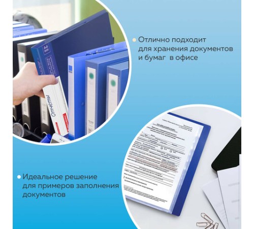 Папка 60 вкладышей BRAUBERG стандарт, синяя, 0,8 мм, 221605