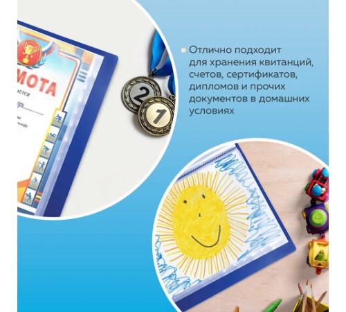 Папка 60 вкладышей BRAUBERG стандарт, синяя, 0,8 мм, 221605