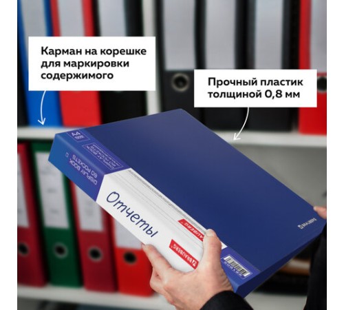 Папка 60 вкладышей BRAUBERG стандарт, синяя, 0,8 мм, 221605