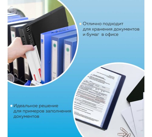 Папка 60 вкладышей BRAUBERG стандарт, черная, 0,8 мм, 221606