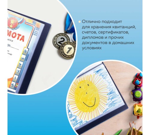 Папка 60 вкладышей BRAUBERG стандарт, черная, 0,8 мм, 221606