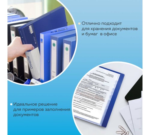 Папка 80 вкладышей BRAUBERG стандарт, синяя, 0,9 мм, 221607