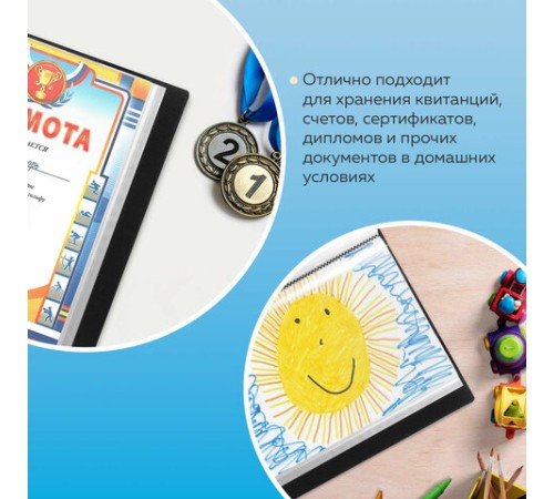 Папка 80 вкладышей BRAUBERG стандарт, черная, 0,9 мм, 221608