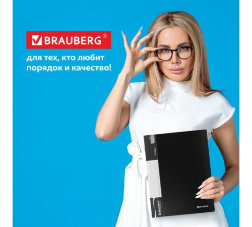 Папка 80 вкладышей BRAUBERG стандарт, черная, 0,9 мм, 221608