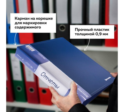 Папка 100 вкладышей BRAUBERG стандарт, синяя, 0,9 мм, 221609