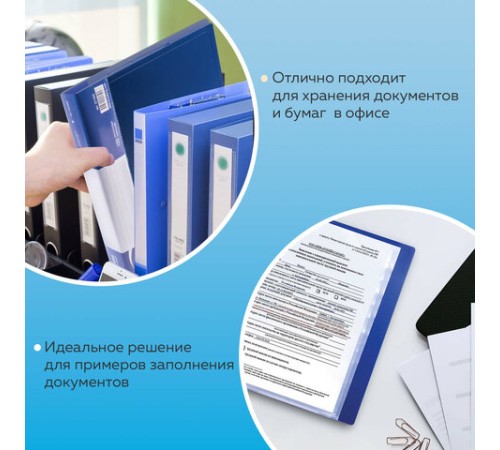 Папка 100 вкладышей BRAUBERG стандарт, синяя, 0,9 мм, 221609