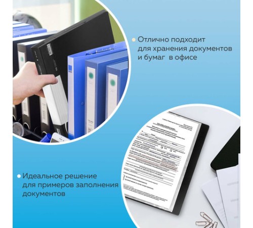 Папка 100 вкладышей BRAUBERG стандарт, черная, 0,9 мм, 221610