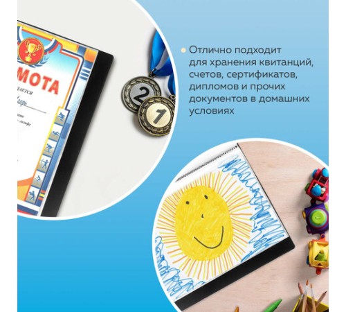 Папка 100 вкладышей BRAUBERG стандарт, черная, 0,9 мм, 221610